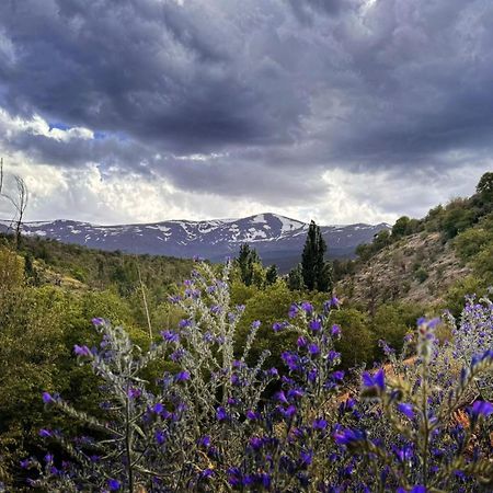 Вилла Molino De Santa Agueda Херес-дель-Маркесадо Экстерьер фото