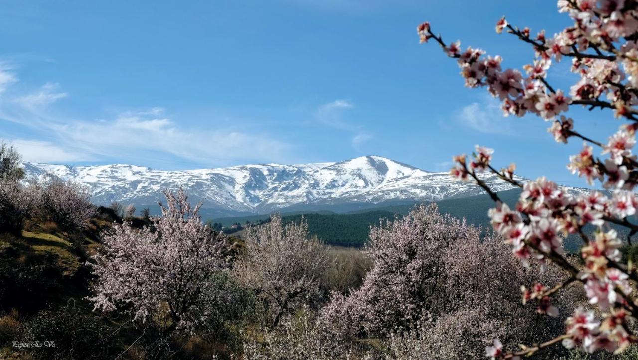 Вилла Molino De Santa Agueda Херес-дель-Маркесадо Экстерьер фото